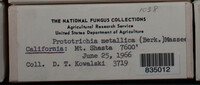 Image Associated With the Occurence